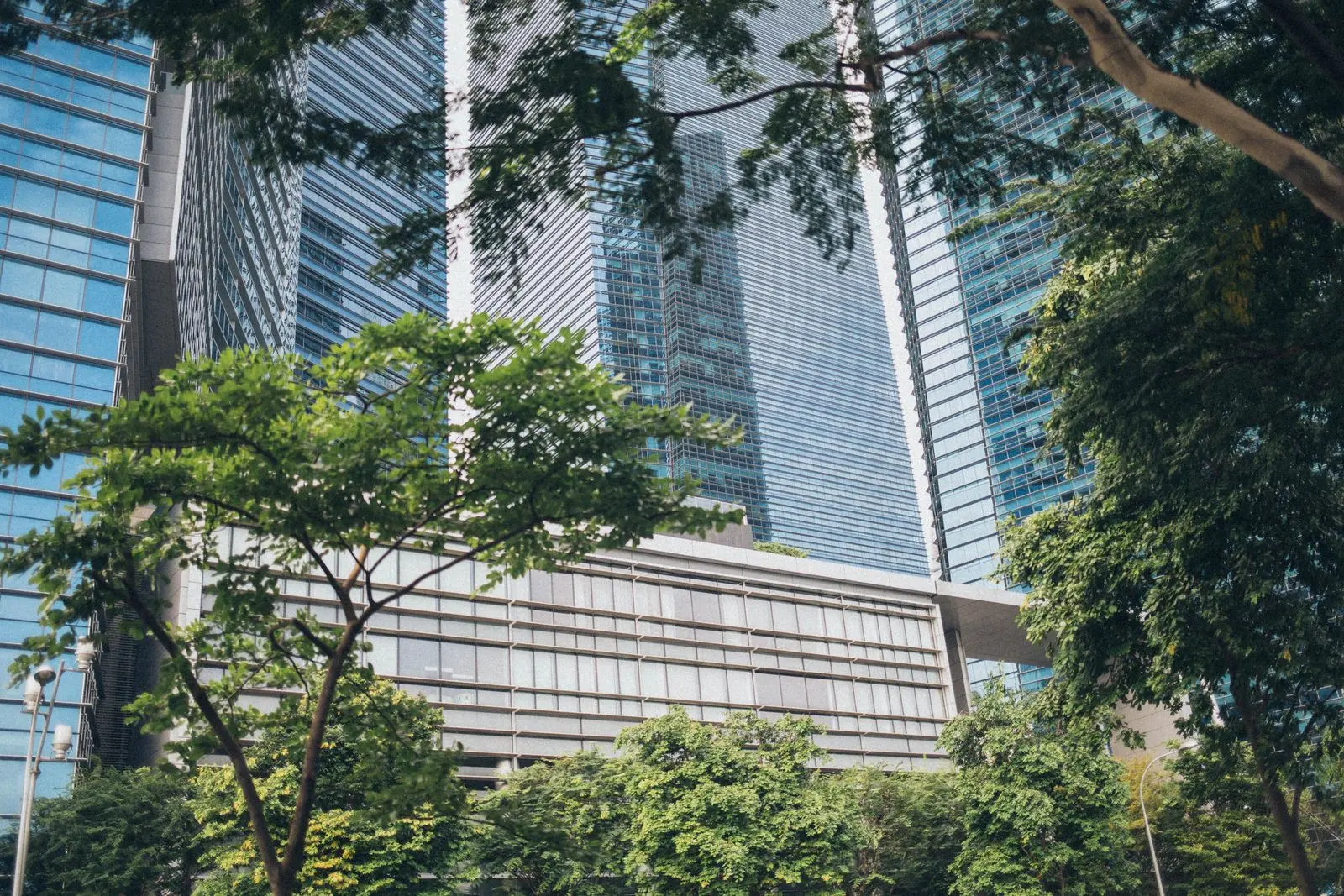Commercial office towers seen from street level